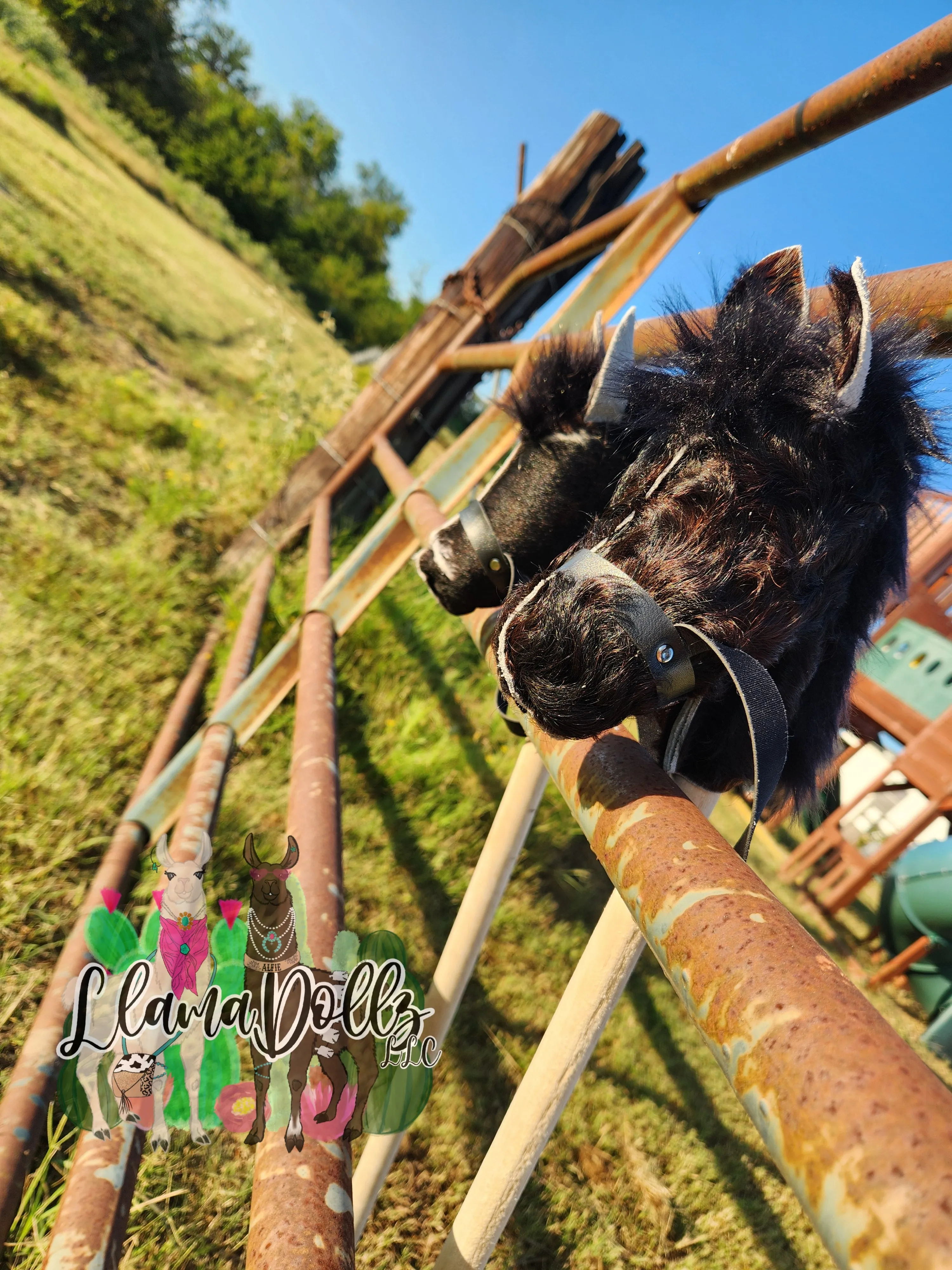 CowPonies