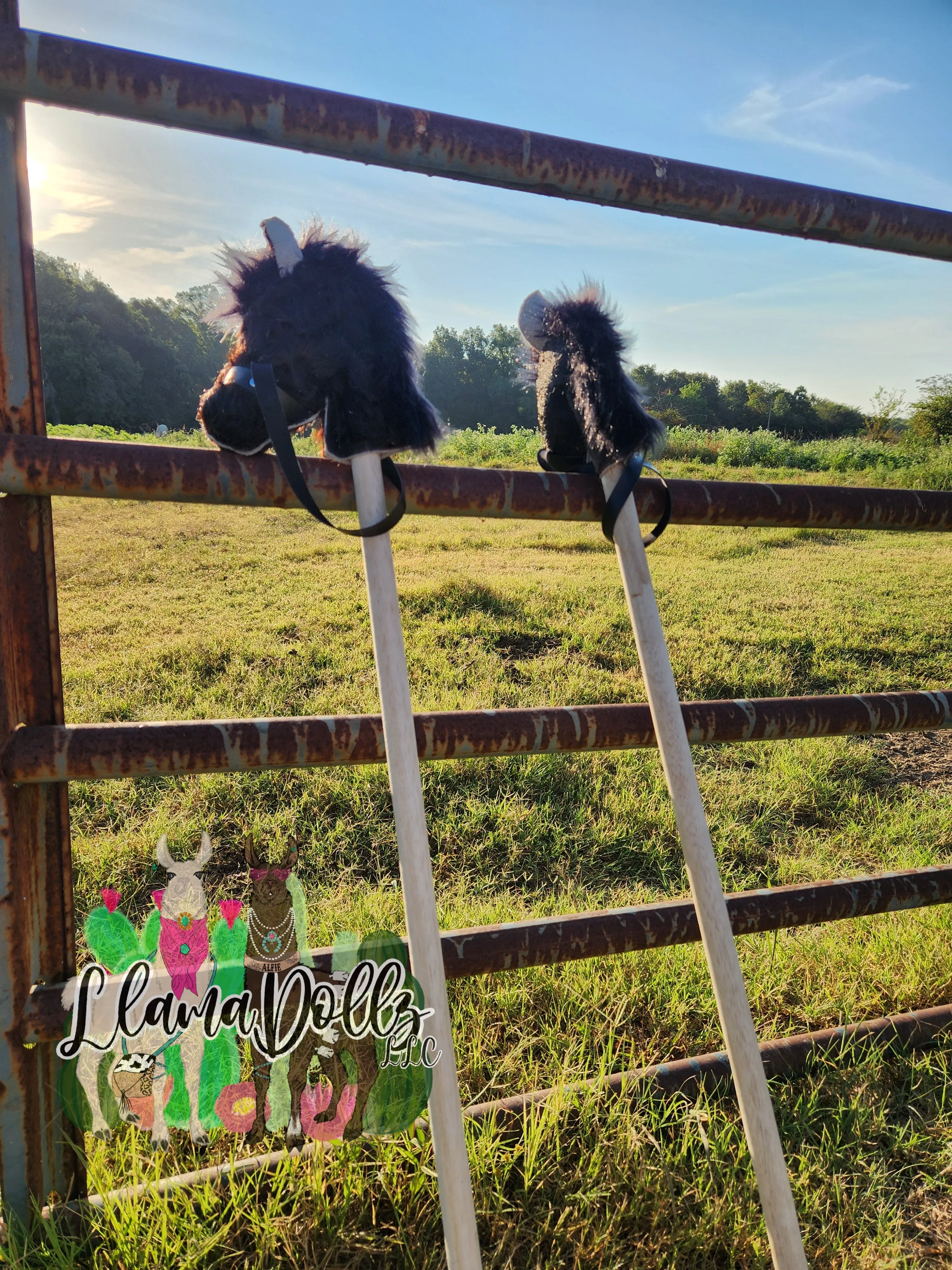 CowPonies