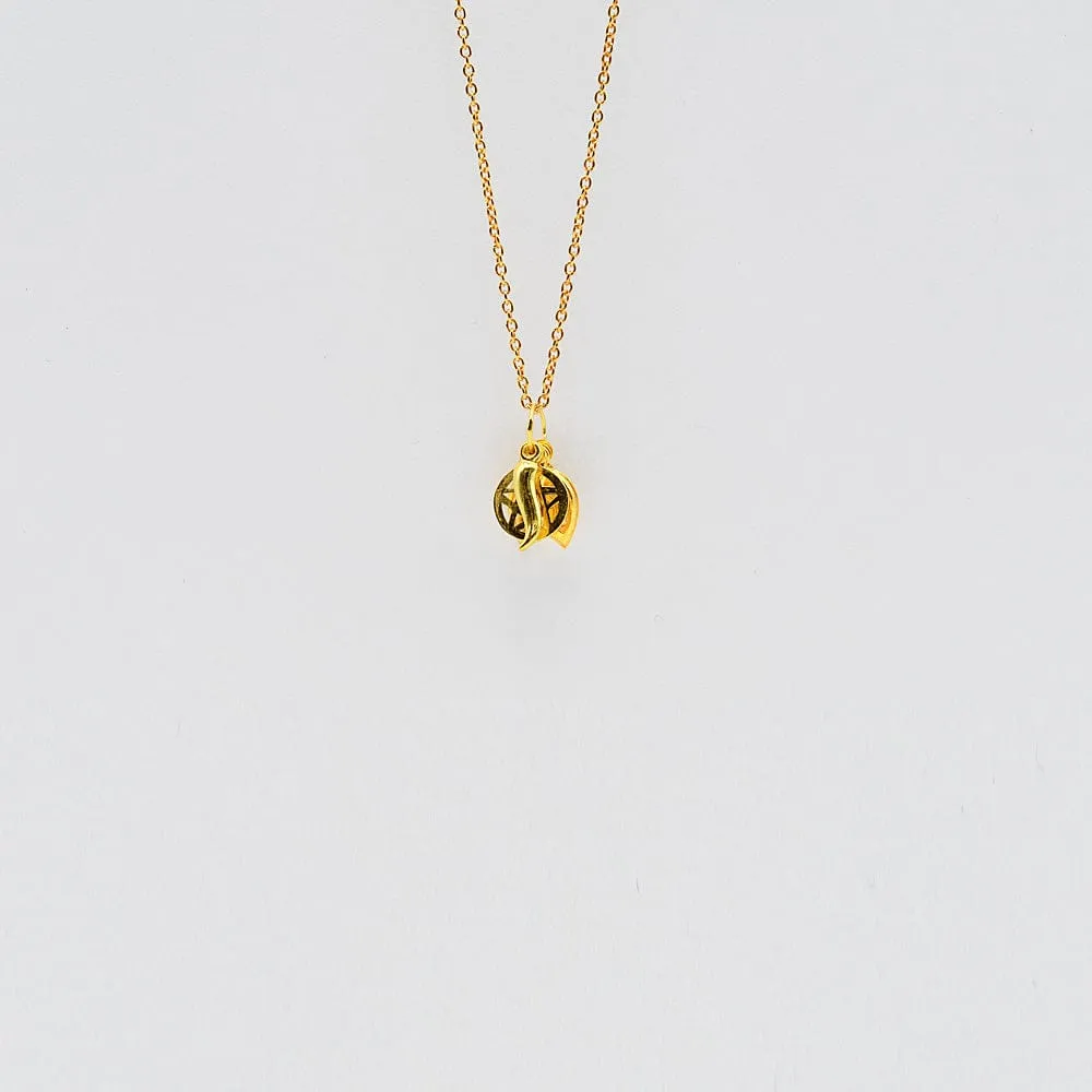 Ensemble de 5 charms Porte-Bonheur en argent doré
