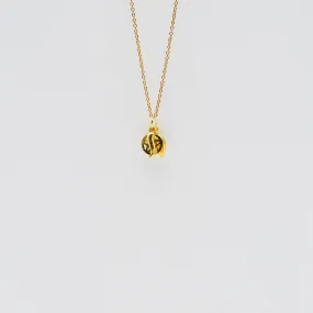 Ensemble de 5 charms Porte-Bonheur en argent doré