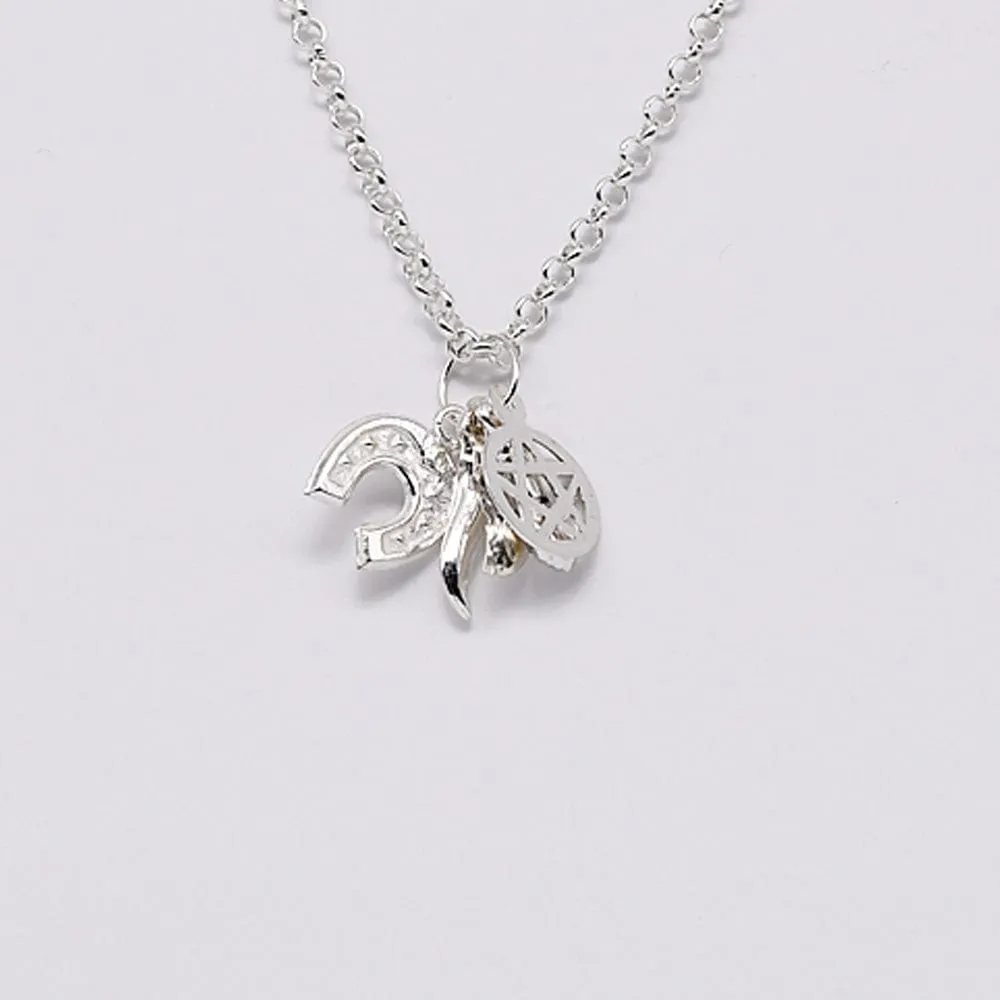 Ensemble de 5 charms Porte-Bonheur en argent