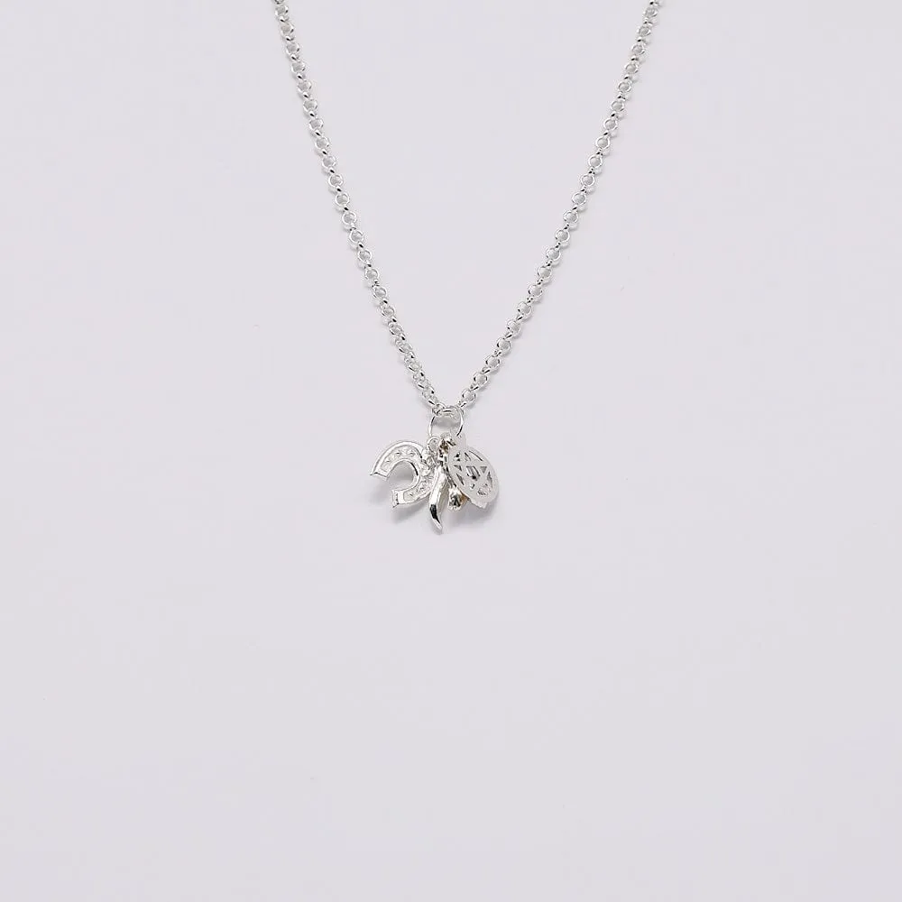 Ensemble de 5 charms Porte-Bonheur en argent