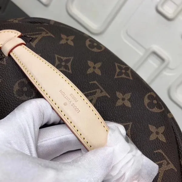 Louis Vuitton Bumbag Bag Monogram Canvas