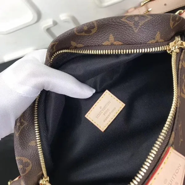 Louis Vuitton Bumbag Bag Monogram Canvas