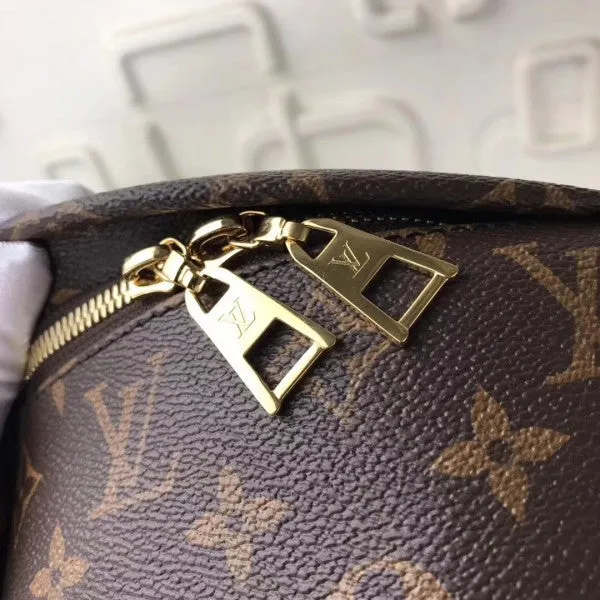 Louis Vuitton Bumbag Bag Monogram Canvas